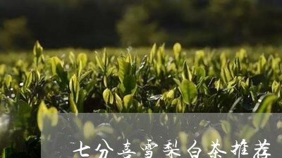 七分喜雪梨白茶推荐/2023071415050