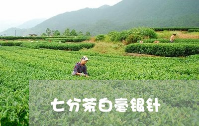 七分茶白毫银针/2023090232049