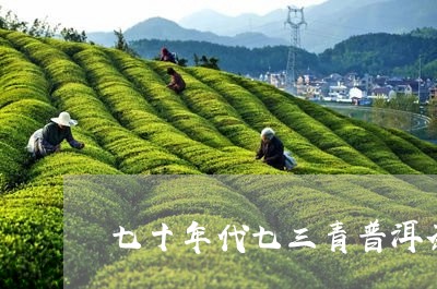 七十年代七三青普洱茶/2023092560693