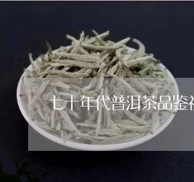 七十年代普洱茶品鉴视频/2023120772927