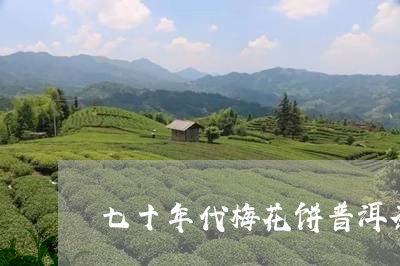 七十年代梅花饼普洱茶/2023061417482