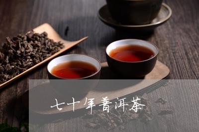 七十年普洱茶/2023042753435