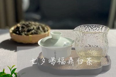 七夕喝福鼎白茶/2023062839381