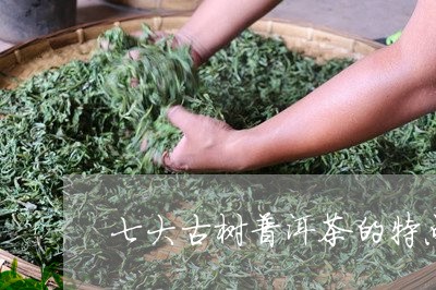 七大古树普洱茶的特点是/2023082494725