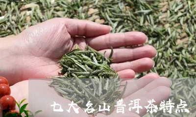 七大名山普洱茶特点/2023120505368