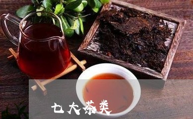 七大茶类/2023121911416