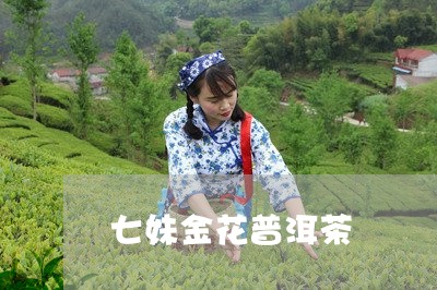 七妹金花普洱茶/2023081583625