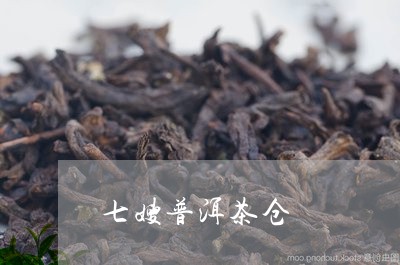 七嫂普洱茶仓/2023112624067