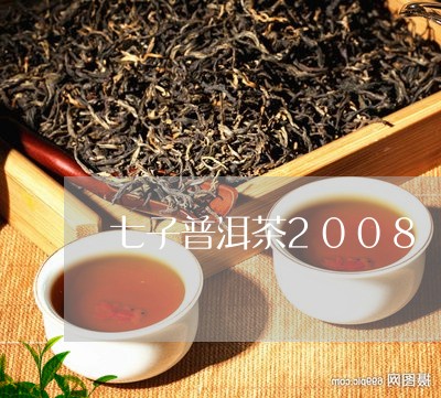 七子普洱茶2008/2023070919480