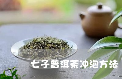 七子普洱茶冲泡方法/2023120510372