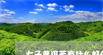 七子普洱茶有什么好处/2023073174818