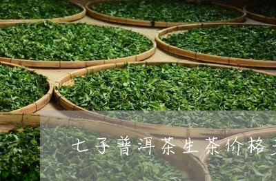 七子普洱茶生茶价格多少/2023120786139