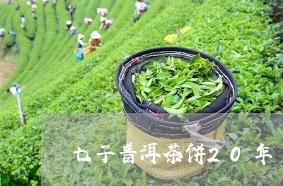 七子普洱茶饼20年/2023120577130