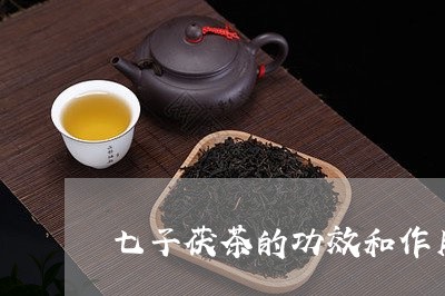 七子茯茶的功效和作用/2023071554159