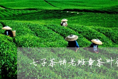 七子茶饼老班章茶叶蛋/2023092428492