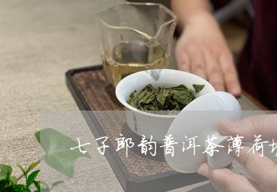 七子郎韵普洱茶薄荷塘/2023072206039