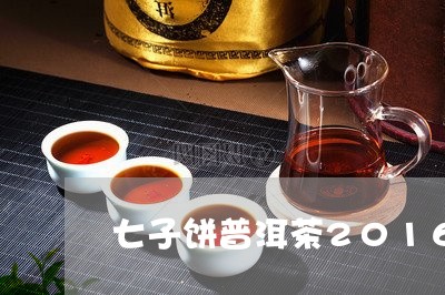 七子饼普洱茶2016/2023080309405