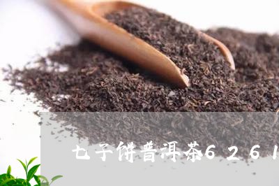 七子饼普洱茶6261/2023062403049