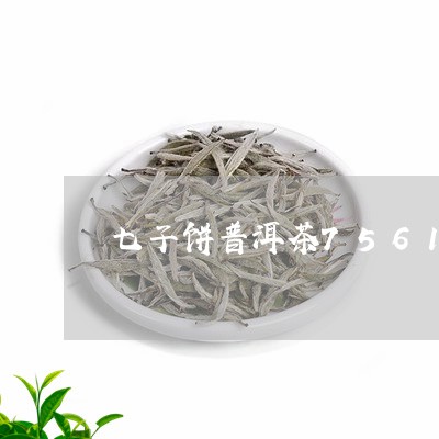 七子饼普洱茶7561/2023080182838