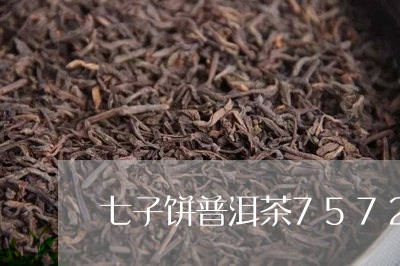 七子饼普洱茶7572/2023100716041