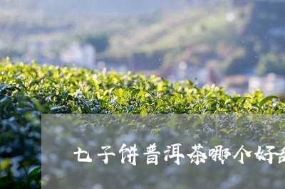 七子饼普洱茶哪个好甜/2023092729472