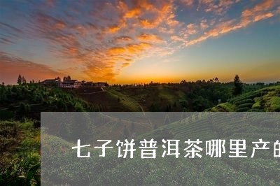 七子饼普洱茶哪里产的/2023092790705