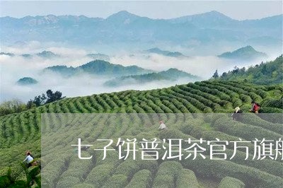 七子饼普洱茶官方旗舰店/2023112499381