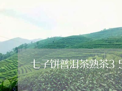 七子饼普洱茶熟茶357克/2023102571594