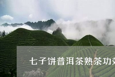 七子饼普洱茶熟茶功效/2023062343716