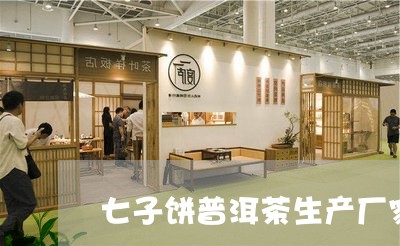 七子饼普洱茶生产厂家/2023061569391