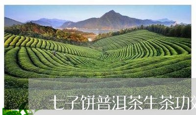 七子饼普洱茶生茶功效和作用/2023110586359