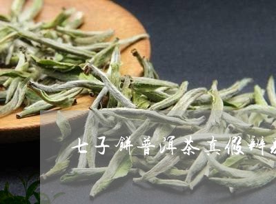 七子饼普洱茶真假辨别/2023062248493