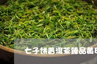 七子饼普洱茶臻品黄印/2023061507281