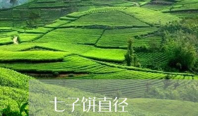 七子饼直径/2023090220704