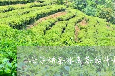 七子饼茶冰岛茶的价格/2023092391727