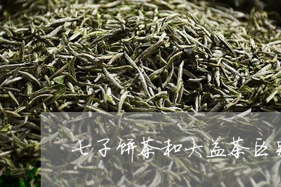 七子饼茶和大益茶区别/2023092235917