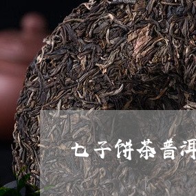 七子饼茶普洱茶怎么样/2023062239485