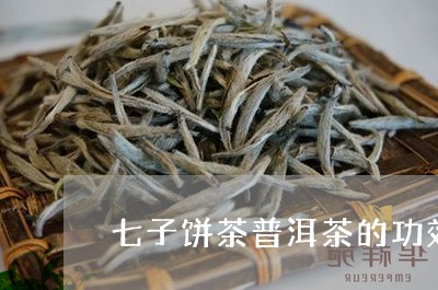 七子饼茶普洱茶的功效/2023073183724