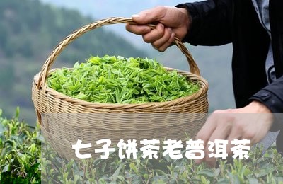 七子饼茶老普洱茶/2023112673606