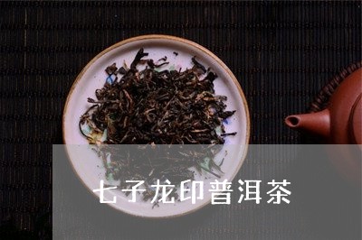 七子龙印普洱茶/2023112536069