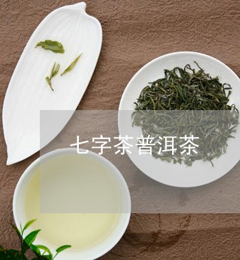 七字茶普洱茶/2023042854530