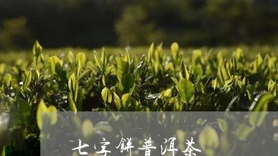 七字饼普洱茶/2023042513869