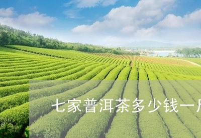 七家普洱茶多少钱一斤/2023092659693