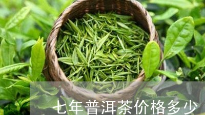 七年普洱茶价格多少/2023120526258