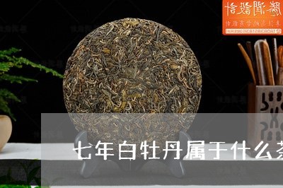 七年白牡丹属于什么茶/2023120982026