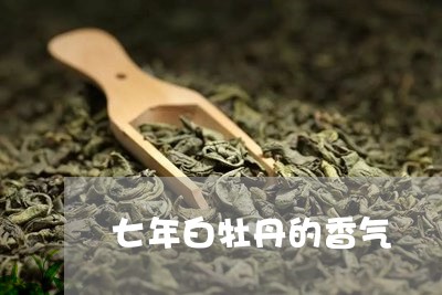 七年白牡丹的香气/2023090667261