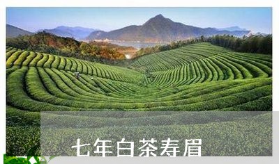 七年白茶寿眉/2023051269571