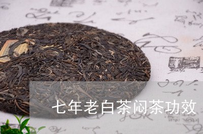 七年老白茶闷茶功效/2023071413705