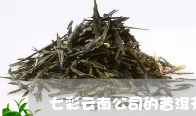 七彩云南公司的普洱茶怎么样/2023110241905