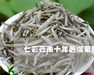 七彩云南十年普洱茶饼/2023092525260